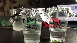 Measure Photosynthesis with floating leaves Gen Bio 1 Activity [upl. by Gipson689]