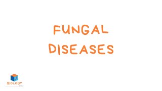 GCSE Biology  Infection amp Response  7 Fungal Diseases [upl. by Amye]