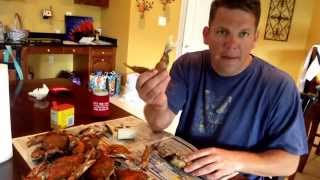 How To Eat Crabs  Best Way To Eat Maryland Blue Crab [upl. by Porty35]