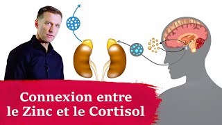 Le zinc peut baisser le cortisol l Dr Eric Berg [upl. by Manny]