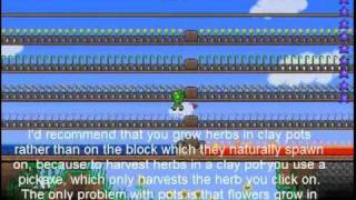 Terraria Herb Farming Guide [upl. by Berey132]