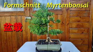 Formschnitt Myrtenbonsai [upl. by Sankey758]