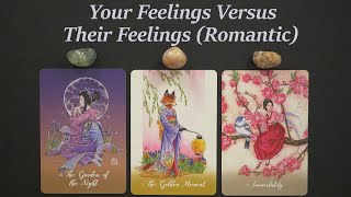 Your Feelings Versus Their Feelings  Timeless pick a card tarot reading [upl. by Searle660]