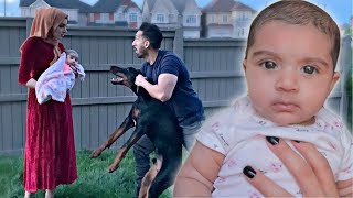 OUR BABY MEETS OUR DOGS For THE FIRST TIME UNEXPECTED REACTION [upl. by Eem]