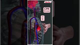 Learn how to Perform CPR amp Save a Life IMotion NEET biology doctor lifesaver nvsir shorts cpr [upl. by Otrebide]