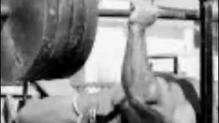 150kg Press for 5 Singles Why We’ve Gone SOFT amp How to Get Back to Hard Training [upl. by Tarr373]