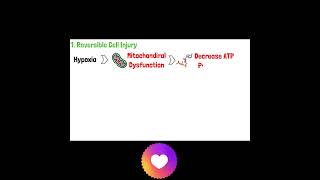 Cell Injury Pathology  Reversible and Irreversible Cell Injury  Part 1 mbbs doctor anatomy [upl. by Aihseyt]