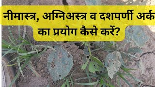 Video 63 प्राकृतिक खेती में कीट नियंत्रण कैसे करें Natural Farming [upl. by Lerud616]