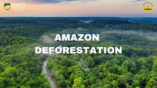 Increasing deforestation rate in the Amazon Rainforest  Bulletin 045 [upl. by Sowell]