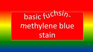 BASIC FUCHSIN METHYLENE BLUE STAIN [upl. by Dekow167]