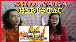 SHIO NAGA HARUS TAU TERNYATA BRGINI KARAKTER DAN KEPRIBADIAN SHIO NAGA [upl. by Janetta]