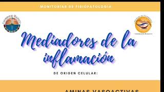 Monitoria Mediadores de la inflamación Aminas vasoactivas y metabólicos AA [upl. by Ijnek53]