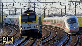 Train Traffic between Brussels and Leuven 200 kmh  January 16 2024 [upl. by Elwin]