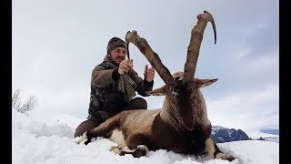 BEZOAR IBEX HUNTING Freddy BrevetampTurkish Frontier Recep Ecer [upl. by Faux908]