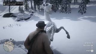 Red Dead Redemption 2 White Arabian Horse Guide 100 spawn rate [upl. by Nats]