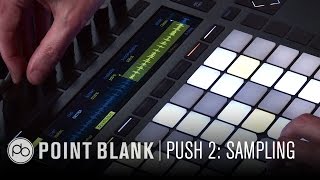 Ableton Push 2 Sampling from Vinyl [upl. by Inaluahek964]