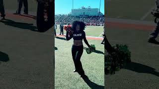 FAMU Pom Squad  Venom Dancers [upl. by Leroj519]