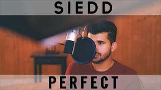 Siedd  Perfect Official Nasheed Cover  Vocals Only [upl. by Faxon]