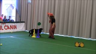 Dogdance  Malouk und Anja  Funklasse Open [upl. by Anelrahc]