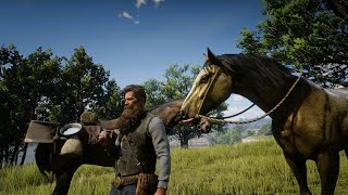 RDR 2  GOLD TURKOMAN HORSE CAUGHT  ARTHUR MORGAN BEST CATCHER [upl. by Ravert]