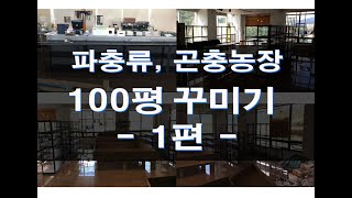 100평 파충류 곤충농장 꾸미기 Decorating Reptile Insect Farm 330m2 [upl. by Cody523]