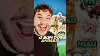 o som dos animais livedobrino humor MundinhoBrino [upl. by Benisch]