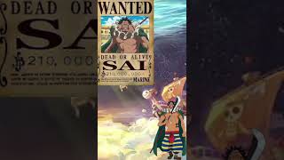 One Peice Straw Hat Grand Fleet Captains Bounty onepiece strawhat bounty strawhatpirates [upl. by Germana]