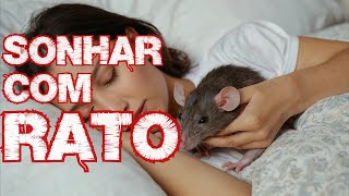 Sonhar com Rato o que Significa [upl. by Gram]