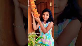 Chinni Chinni Aasa song diwali shorts happydiwali decoration [upl. by Alberik]