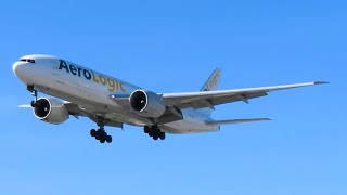 4K WATC AeroLogic Boeing 777FZN DAALF Landing at Toronto Pearson Airport [upl. by Nitaf]