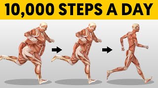 What 10000 Steps a Day Does To Your Body [upl. by Gitel]