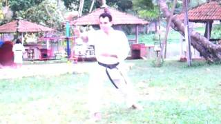 玄制流 武徳会 NANBEIKAI GENSEIRYU KARATEDO BUTOKUKAI KATA SHUKUMINE NO BASSAI DAI [upl. by Eicarg]