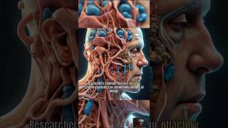 Unlocking the Power of Smell Olfactory Receptors Revealed facts shorts science [upl. by Aremihc]