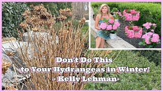 Dont Do This to Your Hydrangeas in Winter  Tips from Kelly Lehman [upl. by Boyt]