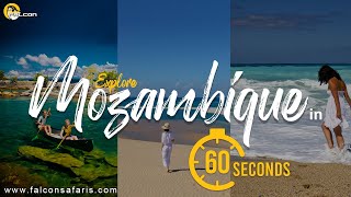 360° MOZAMBIQUE SAFARI IN 60 SECONDS [upl. by Gapin]