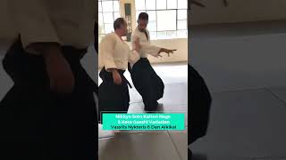 Exploring the Versatility of Nikkyo Soto Kaiten Nage amp Kote Gaeshi Variation with Vassilis Nykteris [upl. by Essilec]