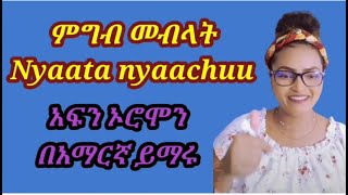 Learn Afan Oromo Learn Afan Oromo in Amharic Oromo LanguageOromo Kemo Tube [upl. by Hedvige]