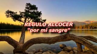 regulo alcocer por mi sangre [upl. by Neih319]