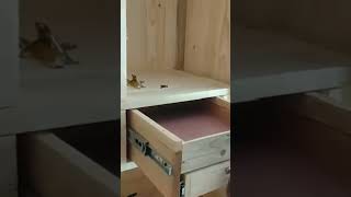 Wooden cupboard safety locker [upl. by Davilman]