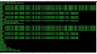 OSPF DR BDR Election on Cisco IOS Router [upl. by Fidellia378]