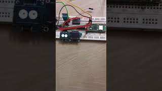 OLED display connection with raspberry Pi pico raspberrypiprogramming pythonproject shortsvideo [upl. by Garey]