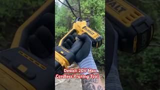 Dewalt 20V MAX Cordless Battery Powered Pruner Unboxing 🤩🛠️ Pruning Tool Dewalt NEW TOOLS [upl. by Nemzaj724]