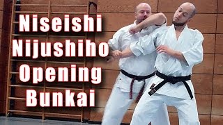 Practical Kata Bunkai Niseishi  Nijushiho Opening Sequence [upl. by Iuqcaj327]