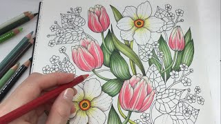 HOW I COLOR TULIP  Blomstermandala Coloring Book  Coloring With Colored Pencils [upl. by Abbye]