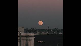 Shareh  talking to the moon  Prod by umairmusicxx​⁠ [upl. by Aniara]