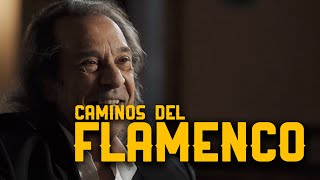 Pepe Habichuela  Caminos del Flamenco  La2 [upl. by Wampler]