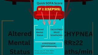 What is Sepsis  The qSOFA Quick SOFA Score [upl. by Airitac31]