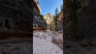 Ashdown Gorge UT travel hikingdestinations shorts [upl. by Aiker16]