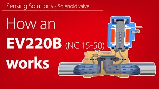 How an EV220B NC 15–50 indirect servooperated solenoid valve works  Working animation [upl. by Seka242]