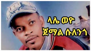 ጀማል ሱለንጎላሌ ወዮመስቃንኛ ሙዚቃJemal sulengoMeskan gurage musicBete gurage2013 [upl. by Nomelif]